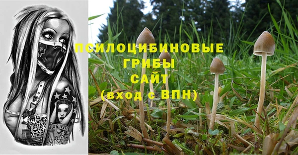 не бодяженный Абаза